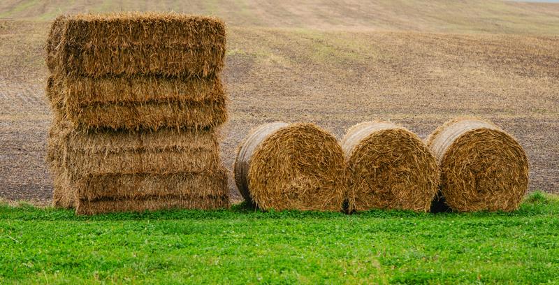 Square and round hay bales stacked in field — documenting hay production for ag compliance